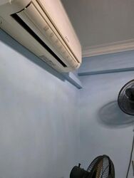 Blk 256 Pasir Ris Street 21 (Pasir Ris), HDB 4 Rooms #551578171